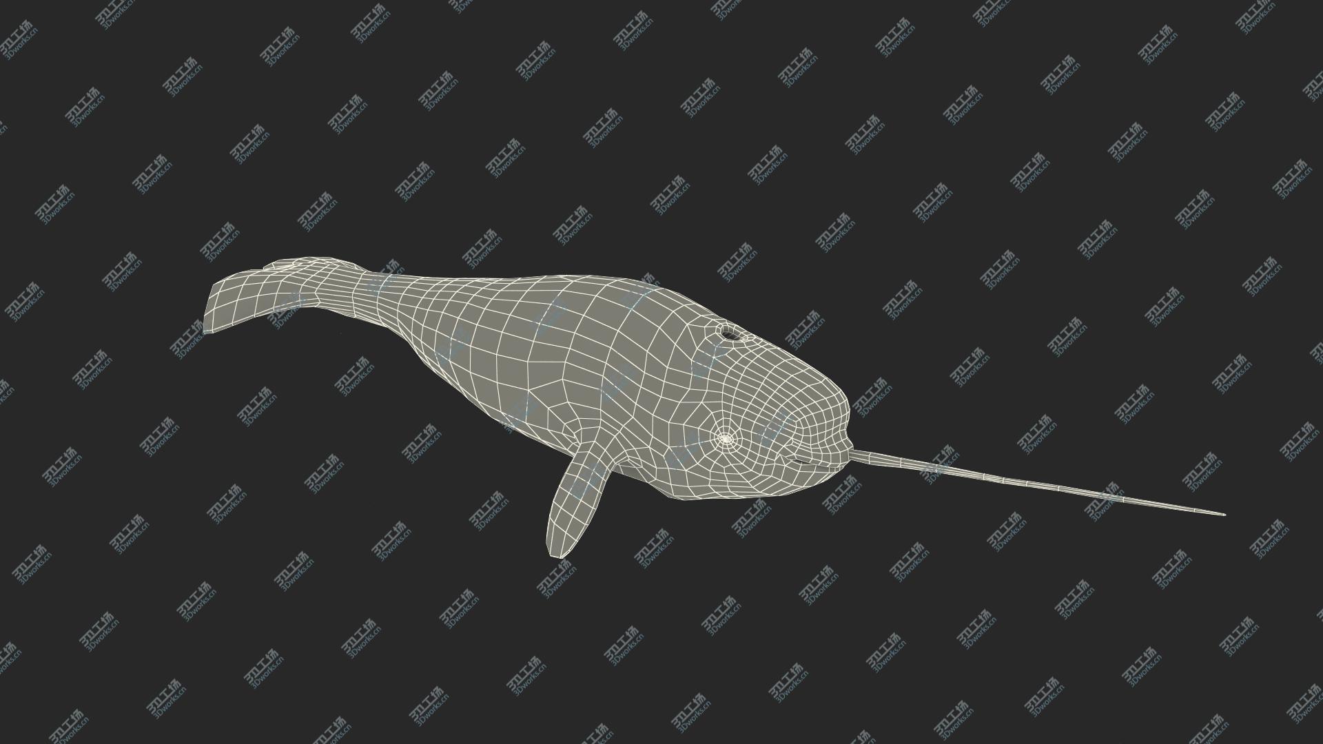 images/goods_img/2021040162/3D Narwhal Swimming Pose/4.jpg